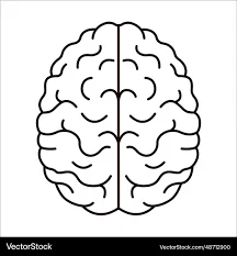 NEUROSURGERY 