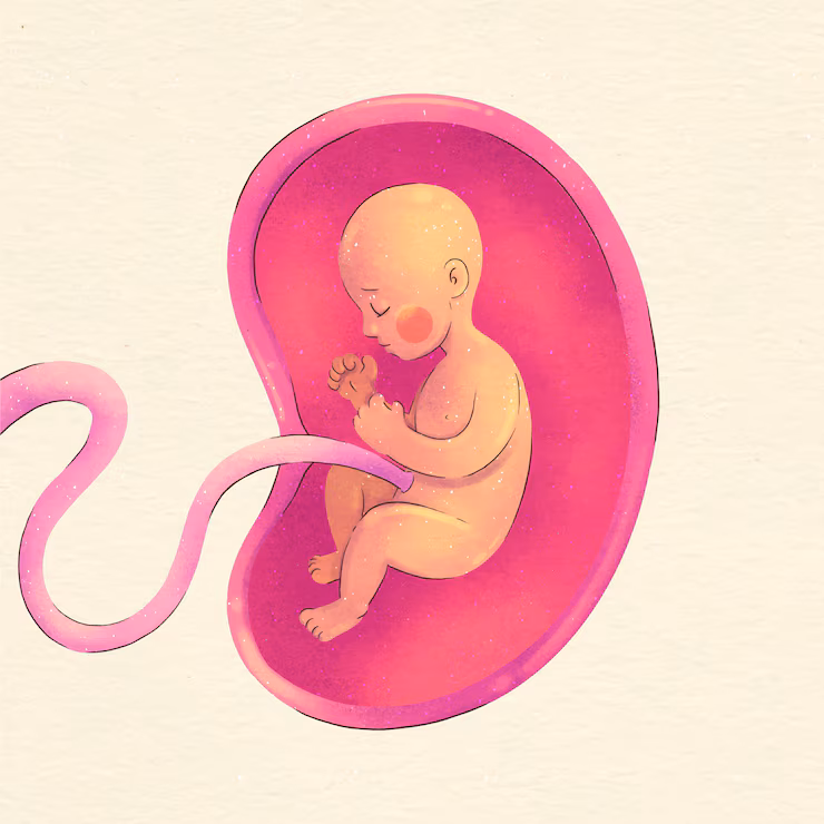 :Expert Pregnancy Gynecology Care in Hennur Cross